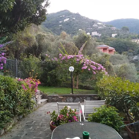 Il Nido Tra Gli Ulivi *