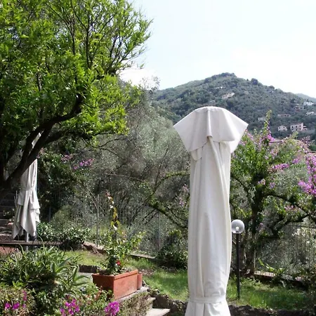 Il Nido Tra Gli Ulivi Daire Rapallo