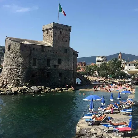 Il Nido Tra Gli Ulivi *