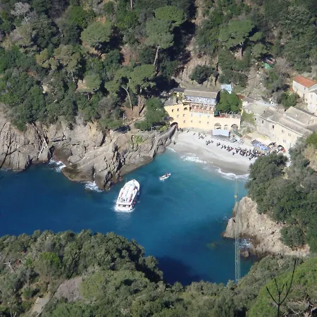Il Nido Tra Gli Ulivi Daire